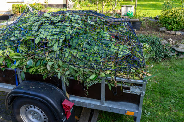 Cologne, MN Junk Removal Services Company